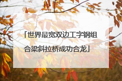 世界最宽双边工字钢组合梁斜拉桥成功合龙