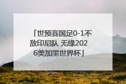 世预赛国足0-1不敌印尼队 无缘2026美加墨世界杯