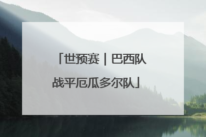 世预赛｜巴西队战平厄瓜多尔队