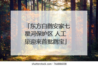 东方白鹳安家七星河保护区 人工巢迎来首批鹳宝