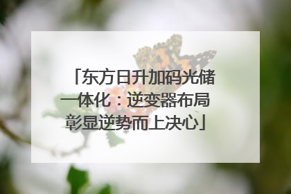 东方日升加码光储一体化：逆变器布局彰显逆势而上决心