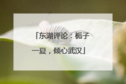 东湖评论：栀子一夏，倾心武汉