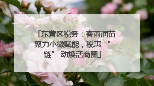 东营区税务：春雨润苗聚力小微赋能，税惠 “链” 动焕活商圈