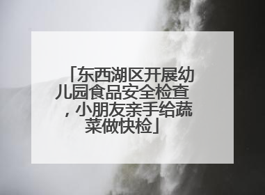 东西湖区开展幼儿园食品安全检查，小朋友亲手给蔬菜做快检