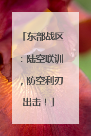 东部战区：陆空联训，防空利刃出击！