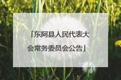 东阿县人民代表大会常务委员会公告
