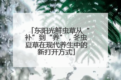 东阳光鲜虫草从“补”到“养”，冬虫夏草在现代养生中的新打开方式