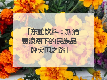 东鹏饮料：新消费浪潮下的民族品牌突围之路