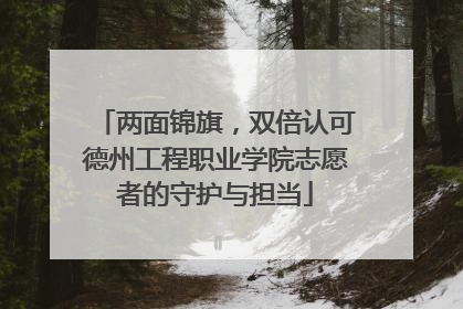 两面锦旗，双倍认可德州工程职业学院志愿者的守护与担当