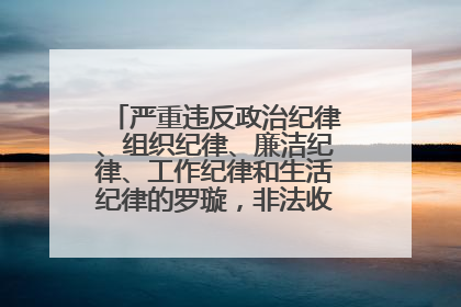 严重违反政治纪律、组织纪律、廉洁纪律、工作纪律和生活纪律的罗璇，非法收受他人巨额财物