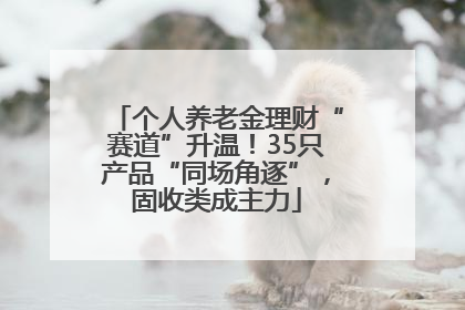 个人养老金理财“赛道”升温！35只产品“同场角逐”，固收类成主力