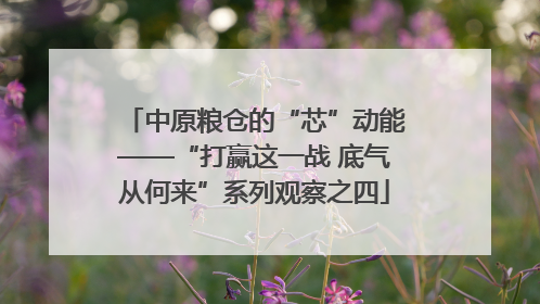 中原粮仓的“芯”动能——“打赢这一战 底气从何来”系列观察之四