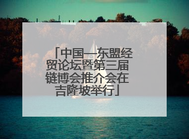 中国—东盟经贸论坛暨第三届链博会推介会在吉隆坡举行