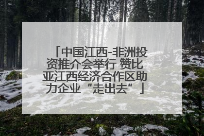 中国江西-非洲投资推介会举行 赞比亚江西经济合作区助力企业“走出去”
