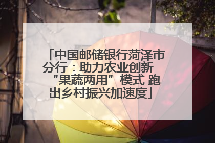 中国邮储银行菏泽市分行：助力农业创新 “果蔬两用”模式 跑出乡村振兴加速度