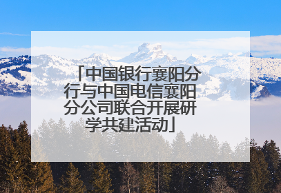 中国银行襄阳分行与中国电信襄阳分公司联合开展研学共建活动