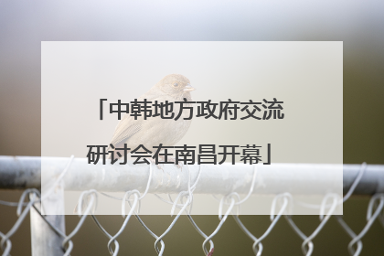 中韩地方政府交流研讨会在南昌开幕
