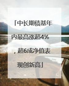 中长期债基年内最高涨超4%，超6成净值表现创新高