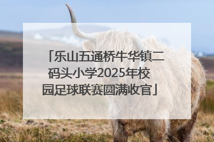 乐山五通桥牛华镇二码头小学2025年校园足球联赛圆满收官