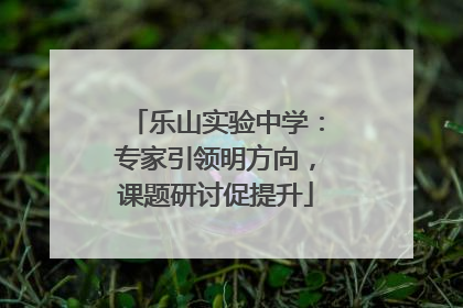 乐山实验中学：专家引领明方向，课题研讨促提升