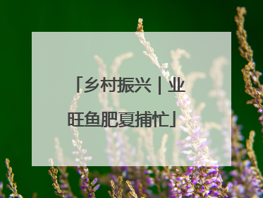 乡村振兴｜业旺鱼肥夏捕忙