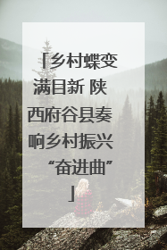乡村蝶变满目新 陕西府谷县奏响乡村振兴“奋进曲”