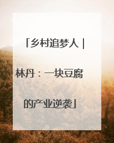 乡村追梦人｜林丹：一块豆腐的产业逆袭