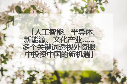 人工智能、半导体、新能源、文化产业……多个关键词透视外资眼中投资中国的新机遇