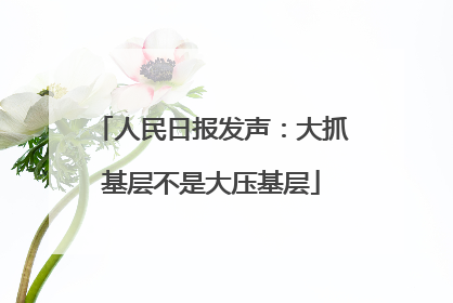 人民日报发声：大抓基层不是大压基层