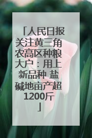 人民日报关注黄三角农高区种粮大户：用上新品种 盐碱地亩产超1200斤