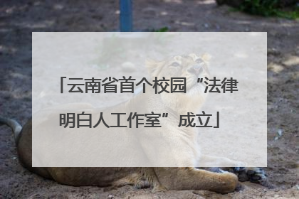 云南省首个校园“法律明白人工作室”成立