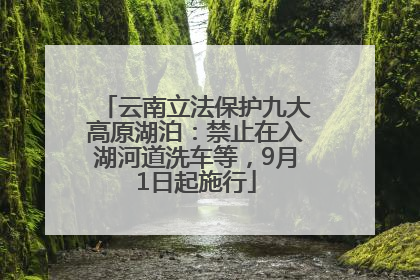 云南立法保护九大高原湖泊：禁止在入湖河道洗车等，9月1日起施行