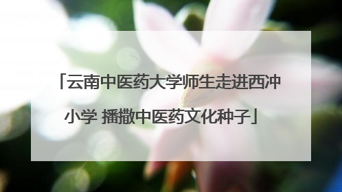 云南中医药大学师生走进西冲小学 播撒中医药文化种子