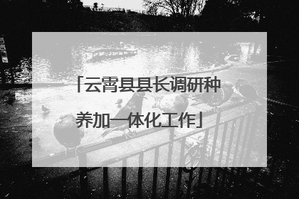 云霄县县长调研种养加一体化工作