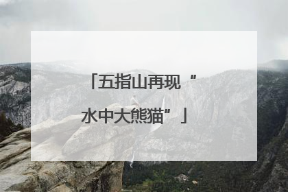 五指山再现“水中大熊猫”