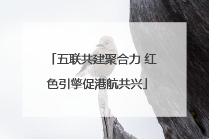 五联共建聚合力 红色引擎促港航共兴