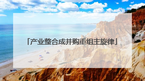 产业整合成并购重组主旋律