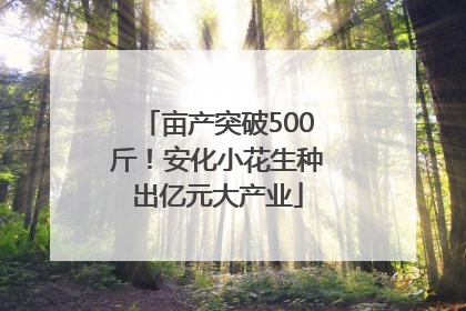 亩产突破500斤！安化小花生种出亿元大产业