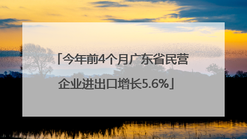 今年前4个月广东省民营企业进出口增长5.6%