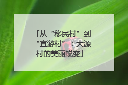 从“移民村”到“宜游村”：大源村的美丽蜕变
