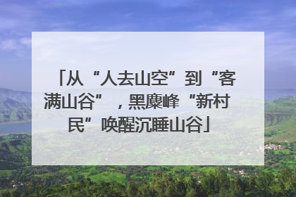 从“人去山空”到“客满山谷”，黑麋峰“新村民”唤醒沉睡山谷