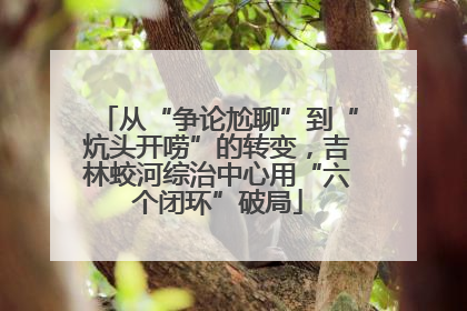 从“争论尬聊”到“炕头开唠”的转变，吉林蛟河综治中心用“六个闭环”破局