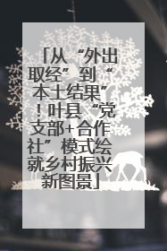从“外出取经”到“本土结果”！叶县“党支部+合作社”模式绘就乡村振兴新图景
