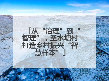 从“治理”到“智理”，圣水塘村打造乡村振兴“智慧样本”
