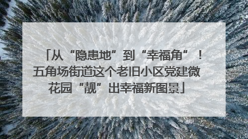从“隐患地”到“幸福角”！五角场街道这个老旧小区党建微花园“靓”出幸福新图景