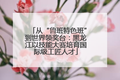 从“鲁班特色班”到世界领奖台：黑龙江以技能大赛培育国际级工匠人才