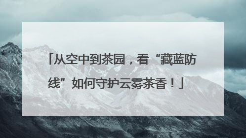 从空中到茶园，看“藏蓝防线”如何守护云雾茶香！