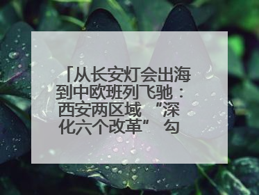 从长安灯会出海到中欧班列飞驰：西安两区域 “深化六个改革” 勾勒发展新画卷