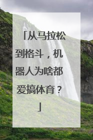 从马拉松到格斗，机器人为啥都爱搞体育？