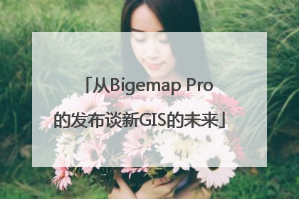 从Bigemap Pro的发布谈新GIS的未来